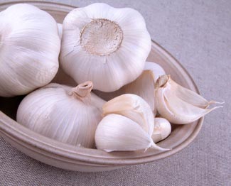 Fresh Garlic